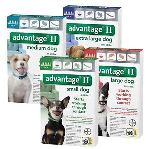Advantage II (21-55 lb. dogs)